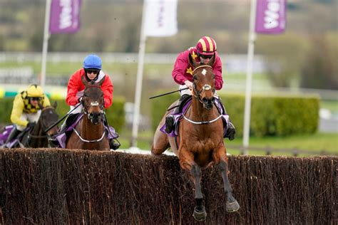 gold cup 2022 odds|2022 Gold Cup Odds, Entries and Runners .
